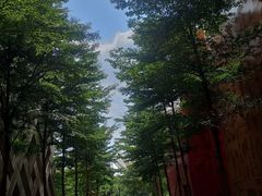 -佛山科学馆