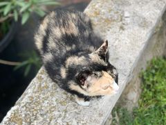 -布德瓦老城