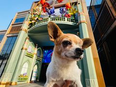 -蝶园·装修中(BFC外滩金融中心店)