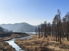 -东钱湖旅游度假区