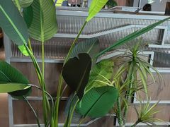 -湊湊火锅·茶憩(皇姑万象汇店)