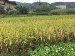 -福建土楼（南靖）云水谣景区-和贵楼