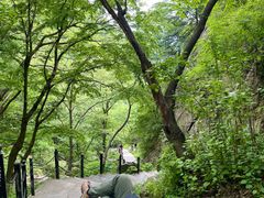 -王顺山国家森林公园