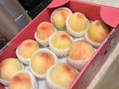 -佐敦面包铺·JORDAN BAKERY