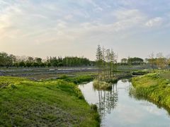 -江苏三台山国家森林公园