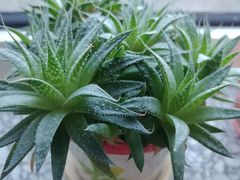 -北京天福号食品有限公司暖心驿站