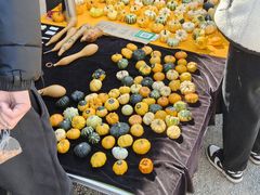 -辛庄国际文化艺术区