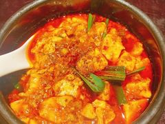 -陈麻婆豆腐总店
