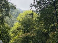 -青城山