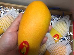 -上海龙吴水胜海发市场