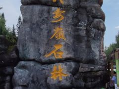 -汤旺河林海奇石景区