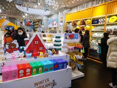 -line friends(明洞旗舰店)