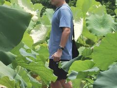 -会仙湿地