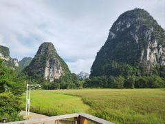 -明仕田园