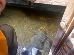 -邈墨茶馆(凤起路店)