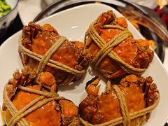 -太湖饭店玉兰厅(自助餐厅)