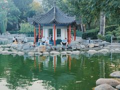 -莲湖公园
