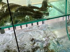 -凯华海鲜火锅·传承三十六年