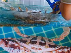 -三亚火车头万人海鲜广场