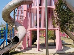 -绵阳盛世樱花悠乐谷