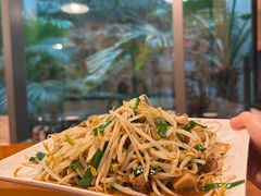 -日出拉面(望京店)
