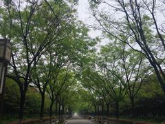 -洛阳市隋唐城遗址植物园