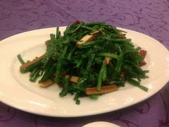 android_upload_pic-巴扎美食·新疆菜·西域歌舞表演餐厅(新疆大厦店)