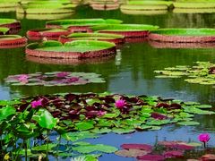 -国家植物园南园