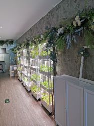 -摩睫+皮肤管理·科学美容中心