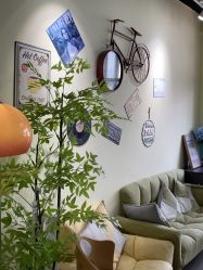 -变美丽半永久纹眉连锁·机器野生眉•洗眉