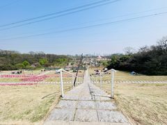 -佛手湖郊野公园