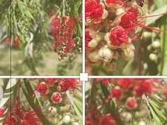 -沙河三洞古桥公园