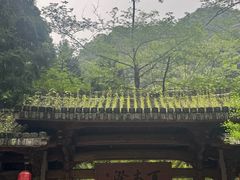 -刘伯温故里景区百丈漈