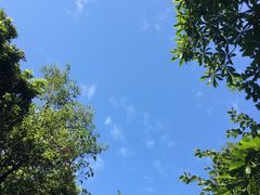 -广州市白云山风景名胜区