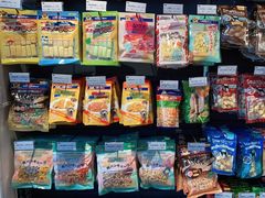 -萌兽医馆·眼科·异宠专科(三里屯店)