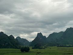 -明仕田园