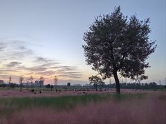 -汉长安城未央宫国家考古遗址公园