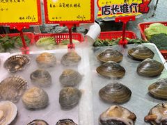 -蚝专家(北滘店)