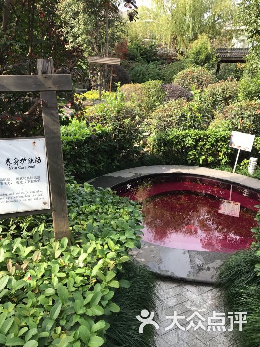 华美达广场酒店樱花温泉图片 - 第7张