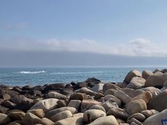 -广东惠东海龟国家级自然保护区