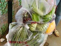 -庞各庄翠芳园西瓜蔬菜基地采摘园