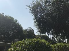 -黄埔古港