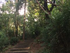 -福建师范大学(仓山校区)