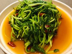 炝炒鸡毛菜-日上三甘(三里屯店)