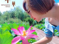 -武清南湖绿博园