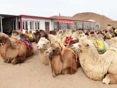 -塞罕坝国家级自然保护区