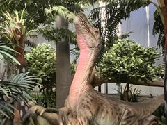 -西峡恐龙遗迹园