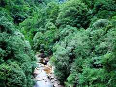 -花岩国家森林公园