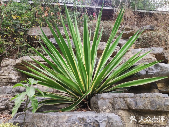 龙门水都景区图片