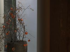 -曲廊院(东四十一条店)